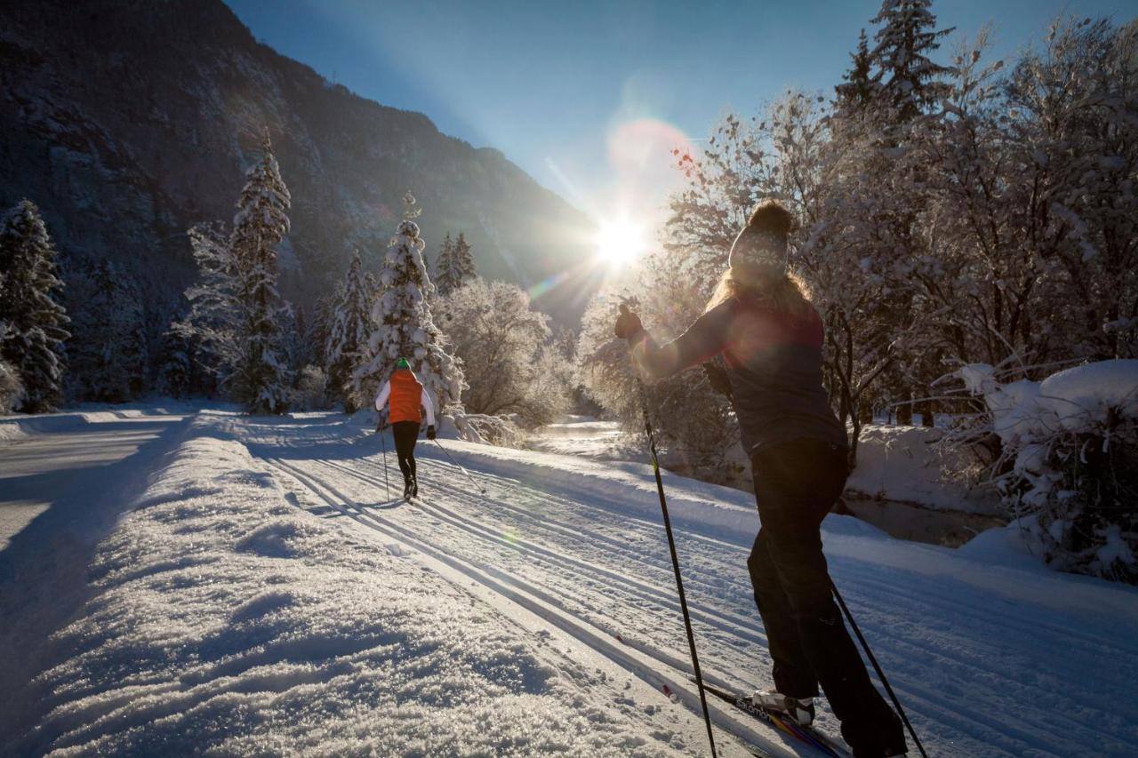 Chalet Happy Family, Secluded Location, 15 Min To Salzburg And Just Short To T Lakes Sound Of Music, Bbq&Bikes&Sunbeds For Free, Up To 14P Golling an der Salzach Buitenkant foto