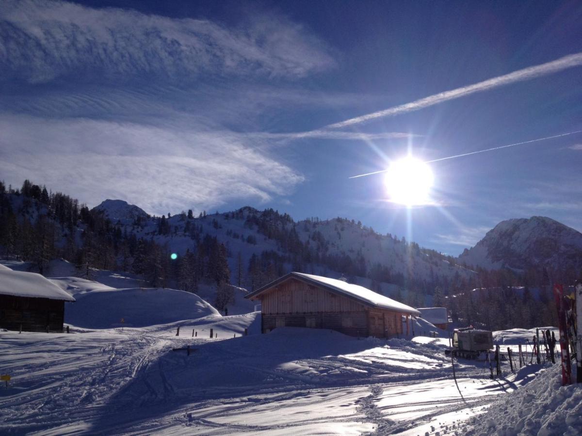 Chalet Happy Family, Secluded Location, 15 Min To Salzburg And Just Short To T Lakes Sound Of Music, Bbq&Bikes&Sunbeds For Free, Up To 14P Golling an der Salzach Buitenkant foto